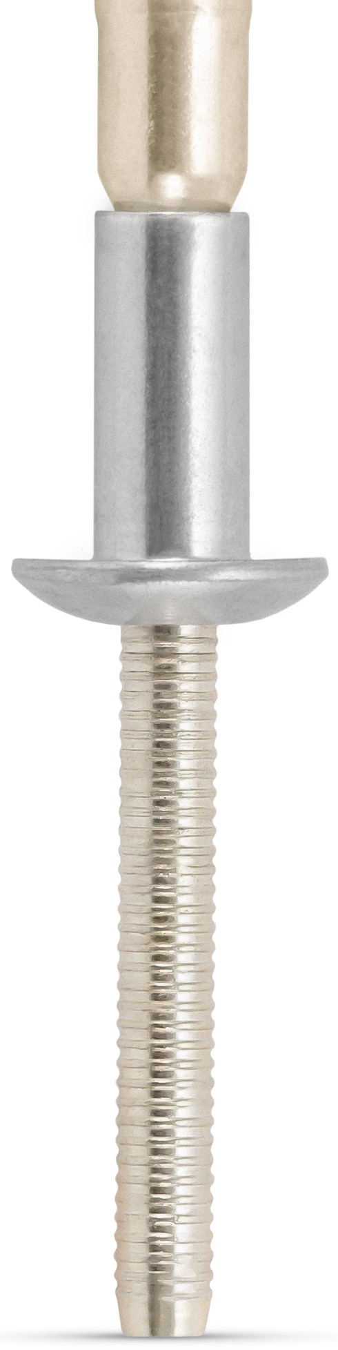 TIGERBOLT