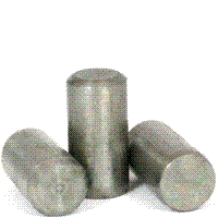 METRIC DOWEL PIN SS
