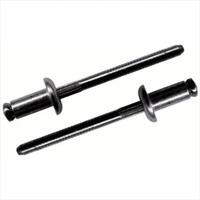 CF-BSPTS-06-06 Avdel Cherry T Rivet BSPTS-06-06 T Style Blind Rivet; 3/16 Inch (0.187 Inch), (0.203 - 0.390 Inch